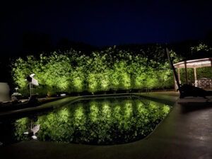 Poolside outdoor lighting creating nighttime ambiance