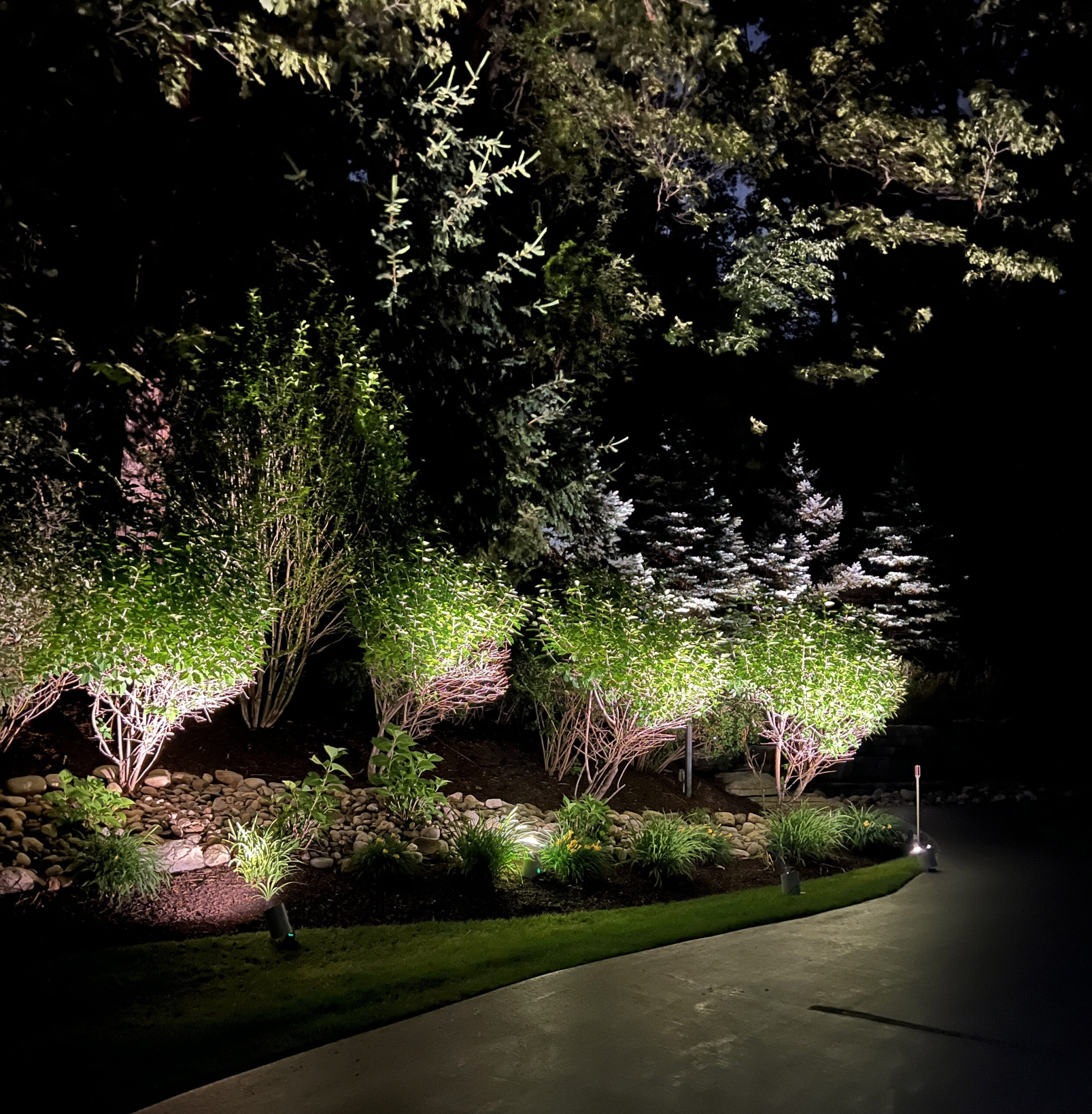 Well Lighted Planting