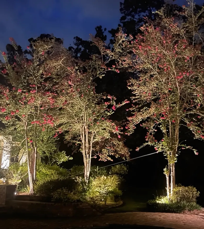 Tree lighting for dramatic outdoor effects